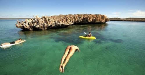Dirk Hartog Island Eco Lodge Denham Exterior foto